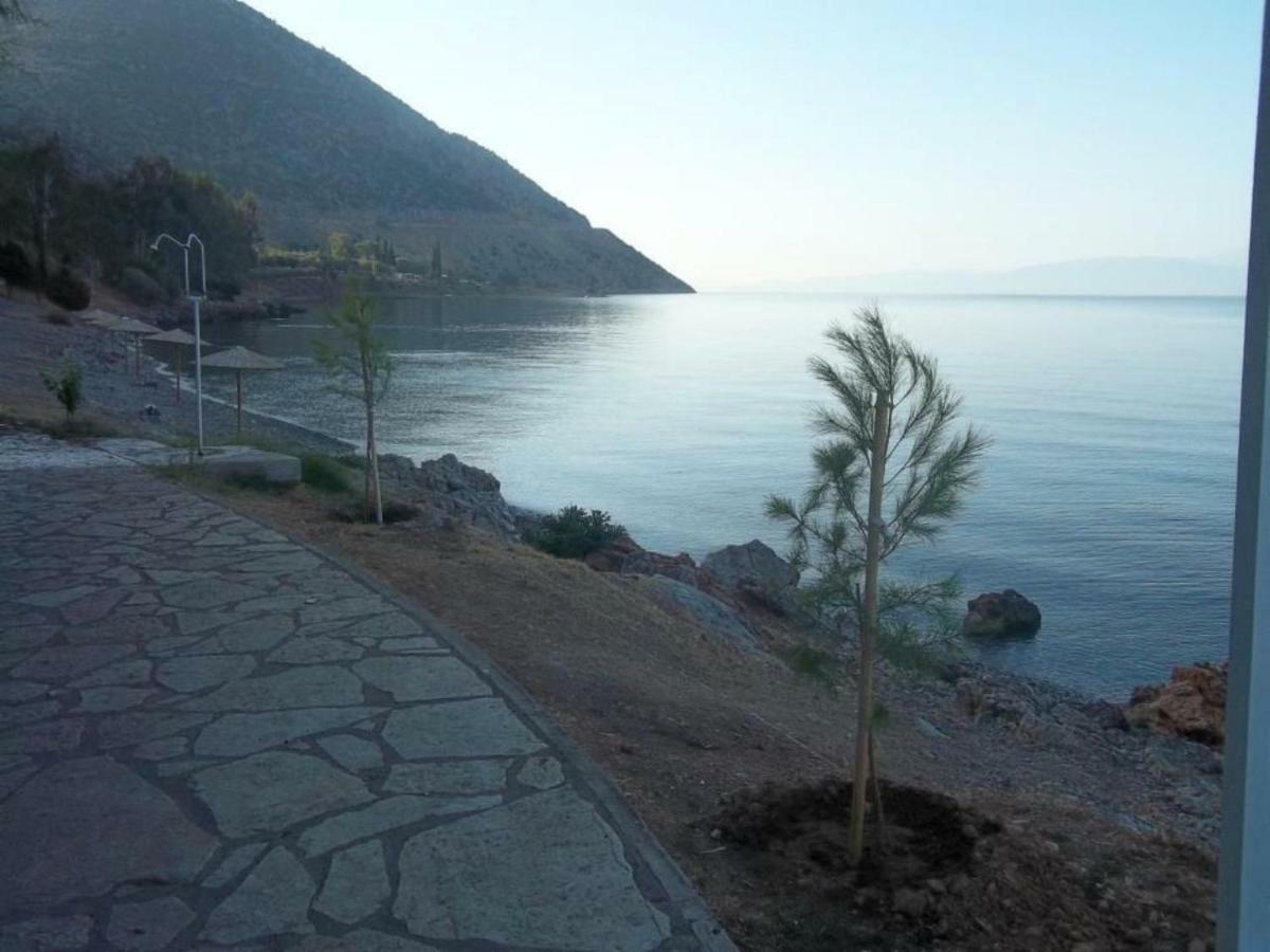 Appartamento Luxury Seafront House Nearby Delphi Kirra Esterno foto